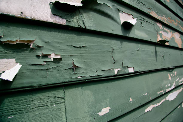 Best Commercial Junk Removal  in Cutten, CA